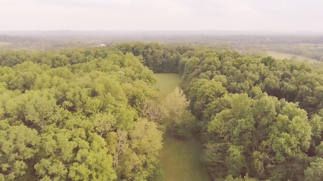 775 Railroad Rd, Wartrace, TN 37183 - aerial view featuring a view of trees