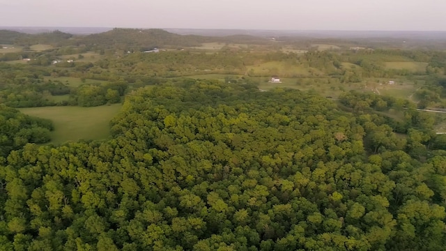 775 Railroad Rd, Wartrace, TN 37183 - birds eye view of property featuring a view of trees