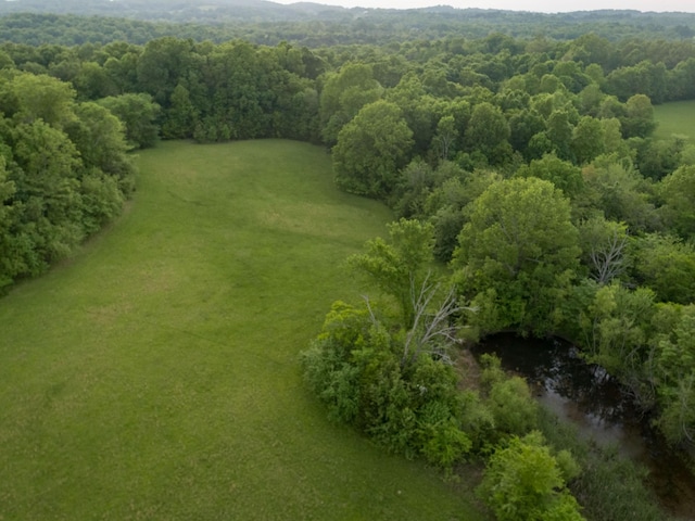 775 Railroad Rd, Wartrace, TN 37183 - bird's eye view