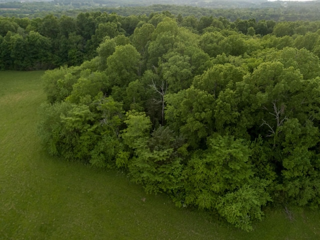 775 Railroad Rd, Wartrace, TN 37183 - birds eye view of property with a forest view