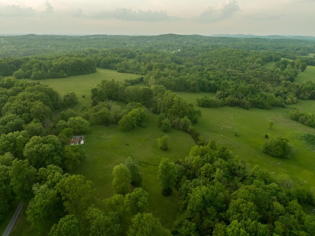 775 Railroad Rd, Wartrace, TN 37183 - aerial view with a view of trees and a rural view