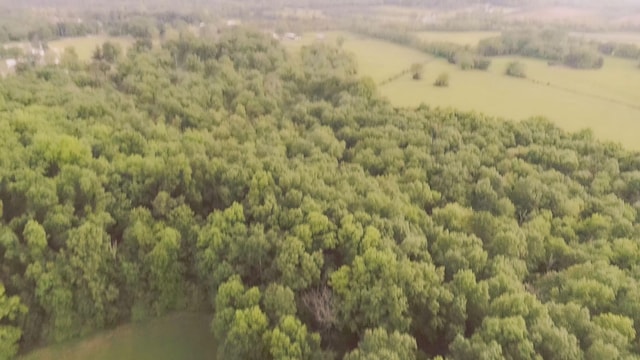 775 Railroad Rd, Wartrace, TN 37183 - aerial view with a forest view