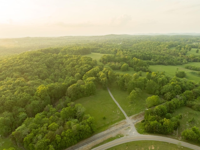 775 Railroad Rd, Wartrace, TN 37183 - bird's eye view featuring a forest view