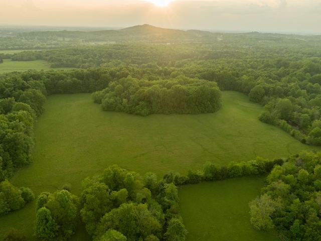 775 Railroad Rd, Wartrace, TN 37183 - aerial view at dusk with a mountain view