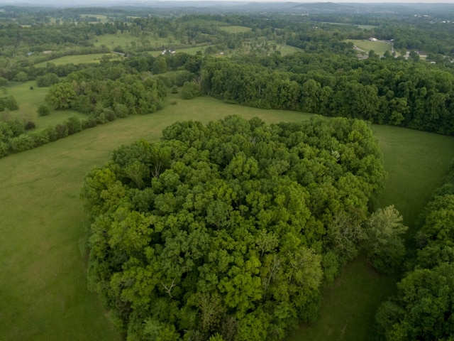 775 Railroad Rd, Wartrace, TN 37183 - aerial view