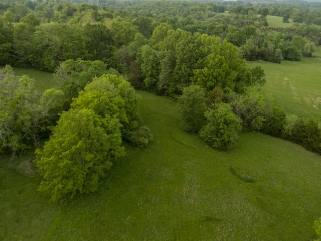 775 Railroad Rd, Wartrace, TN 37183 - birds eye view of property