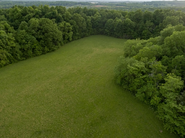 775 Railroad Rd, Wartrace, TN 37183 - bird's eye view
