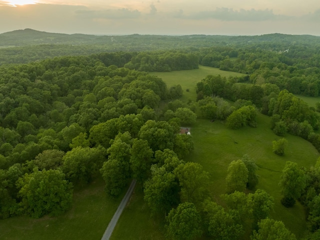 775 Railroad Rd, Wartrace, TN 37183 - bird's eye view