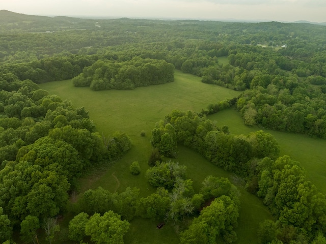 775 Railroad Rd, Wartrace, TN 37183 - aerial view with a rural view and a forest view