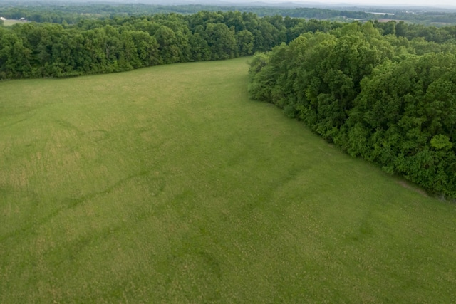 775 Railroad Rd, Wartrace, TN 37183 - drone / aerial view
