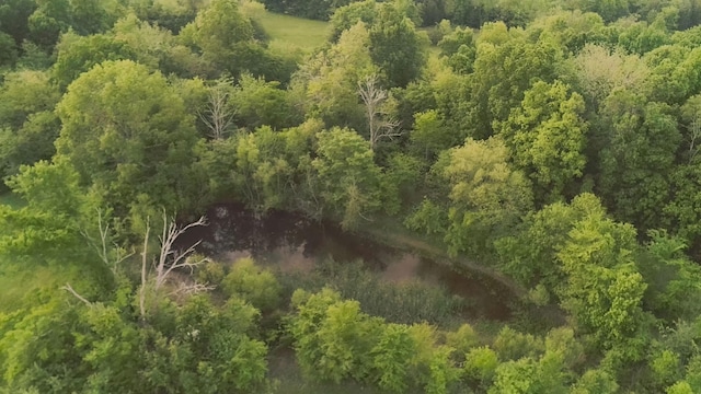 775 Railroad Rd, Wartrace, TN 37183 - bird's eye view with a wooded view
