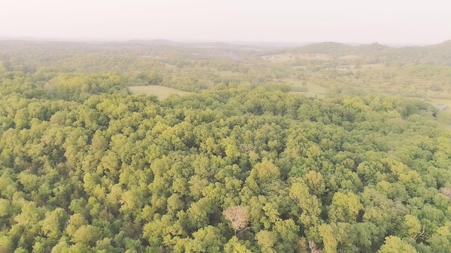 775 Railroad Rd, Wartrace, TN 37183 - bird's eye view with a forest view
