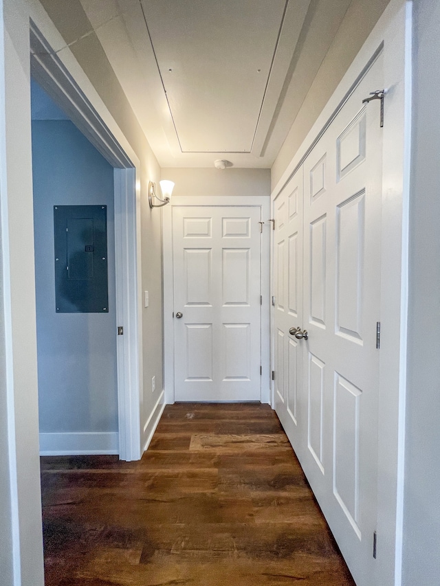 corridor featuring dark hardwood / wood-style floors and electric panel