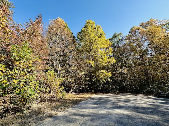 0 Marie St, Flintville TN, 37335 land for sale