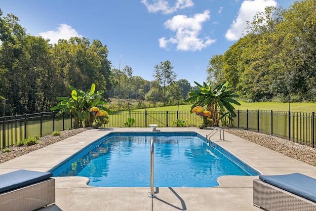 2971 Spanntown Rd, Arrington, TN 37014 - view of pool with a fenced backyard, a patio area, and view of wooded area