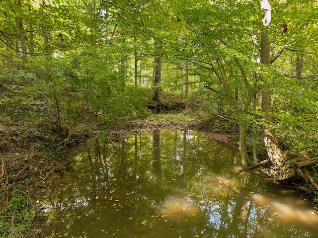 view of nature with a water view