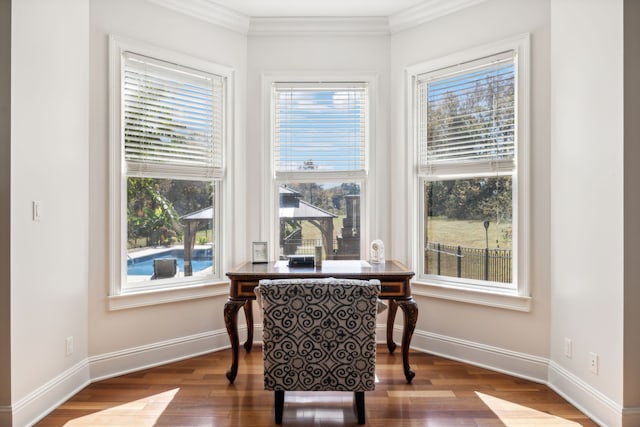 dining space with hardwood / wood-style flooring, ornamental molding, and plenty of natural light