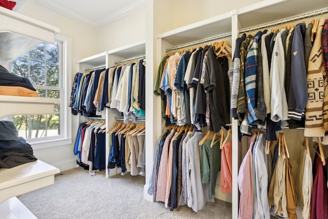 spacious closet featuring carpet floors