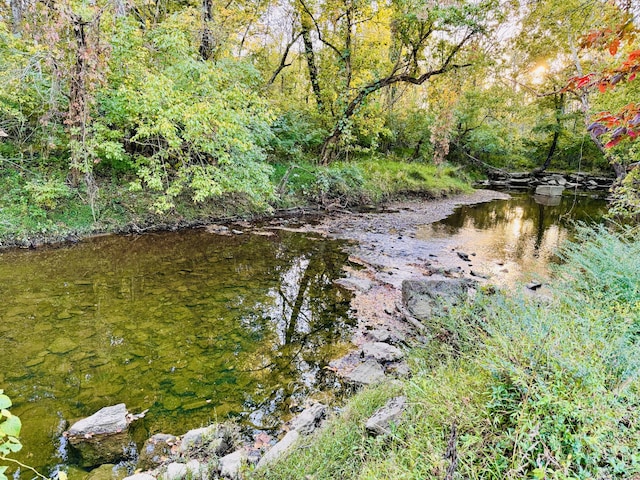 view of nature