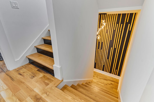 stairs with hardwood / wood-style floors