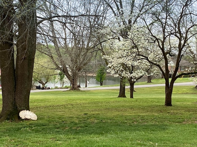 view of home's community featuring a lawn and a water view