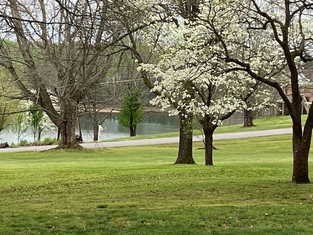 view of community with a yard and a water view