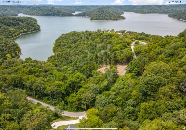 59 Harbor Pointe Dr, Silver Point, TN 38582 - photo 12