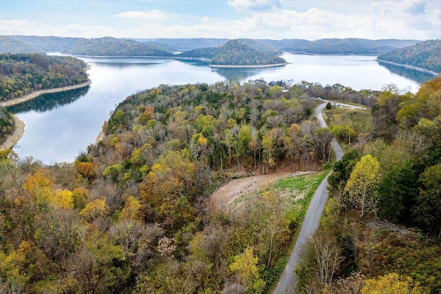 59 Harbor Pointe Dr, Silver Point, TN 38582 - photo 8