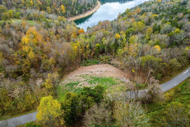 59 Harbor Pointe Dr, Silver Point, TN 38582 - photo 4