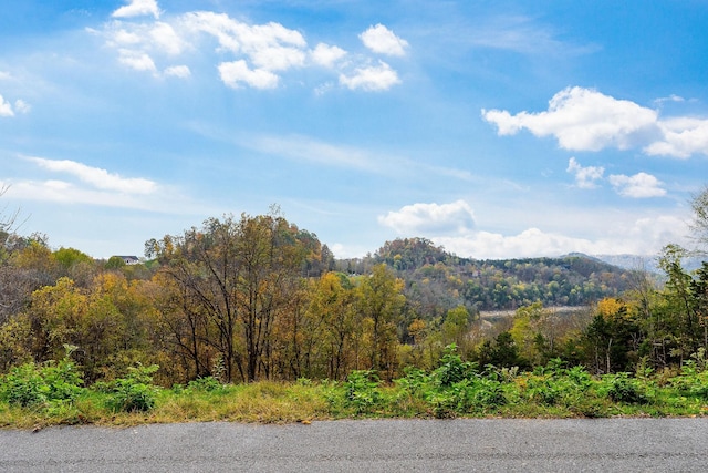 59 Harbor Pointe Dr, Silver Point, TN 38582 - photo 2