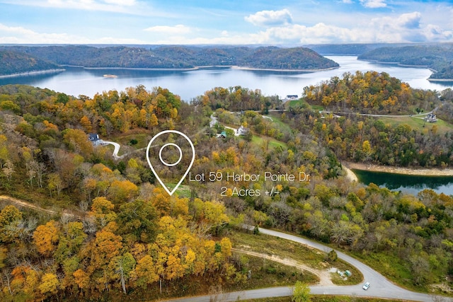 59 Harbor Pointe Dr, Silver Point, TN 38582 - photo 10