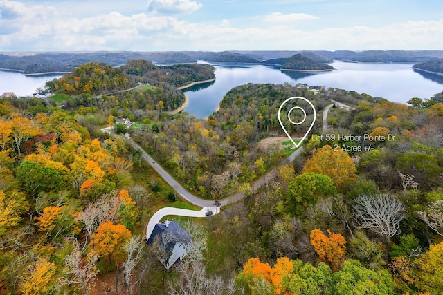 59 Harbor Pointe Dr, Silver Point TN, 38582 land for sale