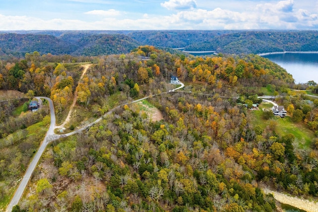 59 Harbor Pointe Dr, Silver Point, TN 38582 - photo 9