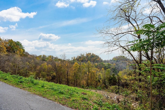 59 Harbor Pointe Dr, Silver Point, TN 38582 - photo 3