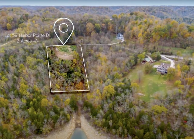 59 Harbor Pointe Dr, Silver Point, TN 38582 - photo 15