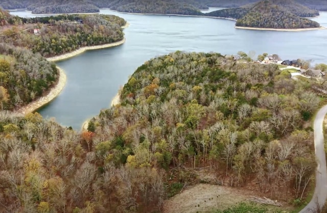 59 Harbor Pointe Dr, Silver Point, TN 38582 - photo 13