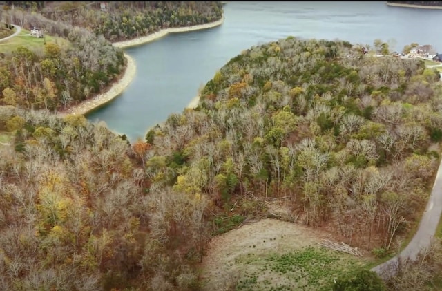 59 Harbor Pointe Dr, Silver Point, TN 38582 - photo 14
