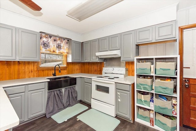 kitchen with gray cabinetry, dark wood-type flooring, sink, electric range, and wood walls