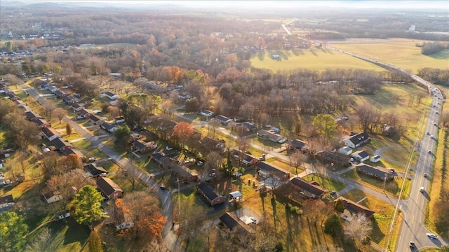 bird's eye view