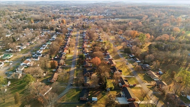 drone / aerial view