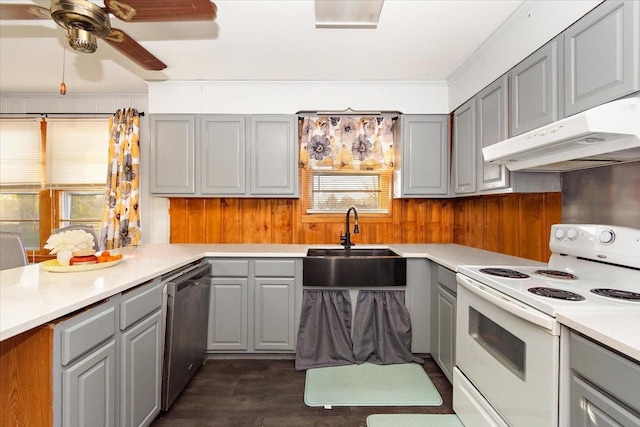 kitchen featuring gray cabinetry, dishwasher, wood walls, white electric range, and sink