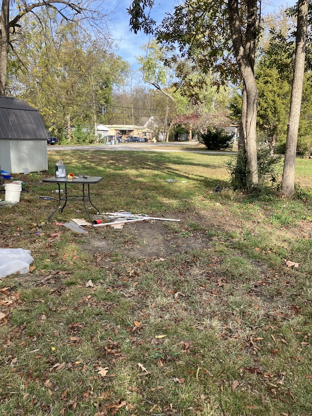 view of yard featuring a storage shed