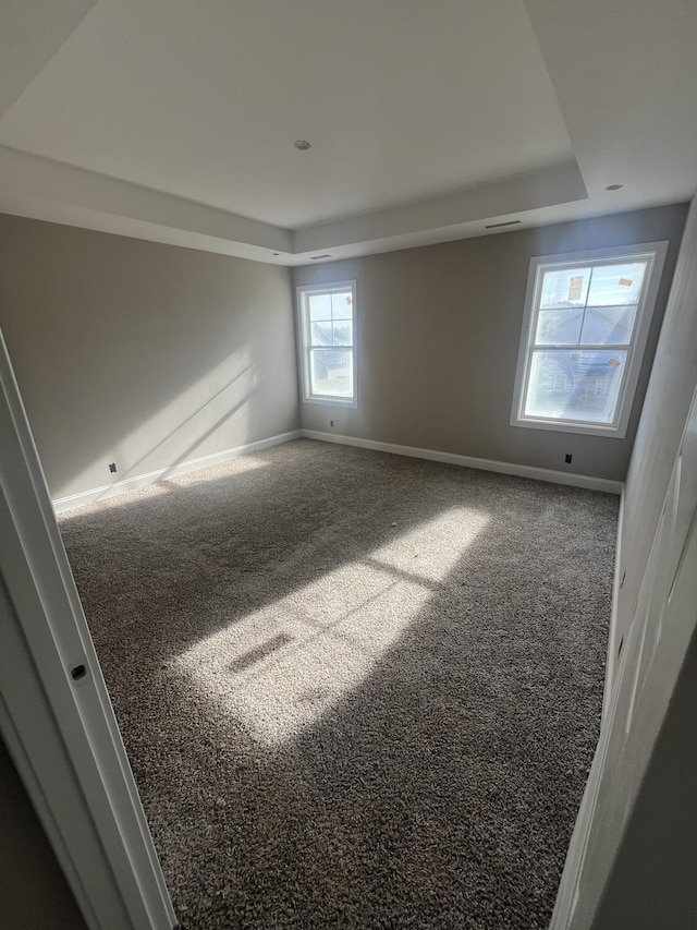 carpeted spare room featuring a raised ceiling