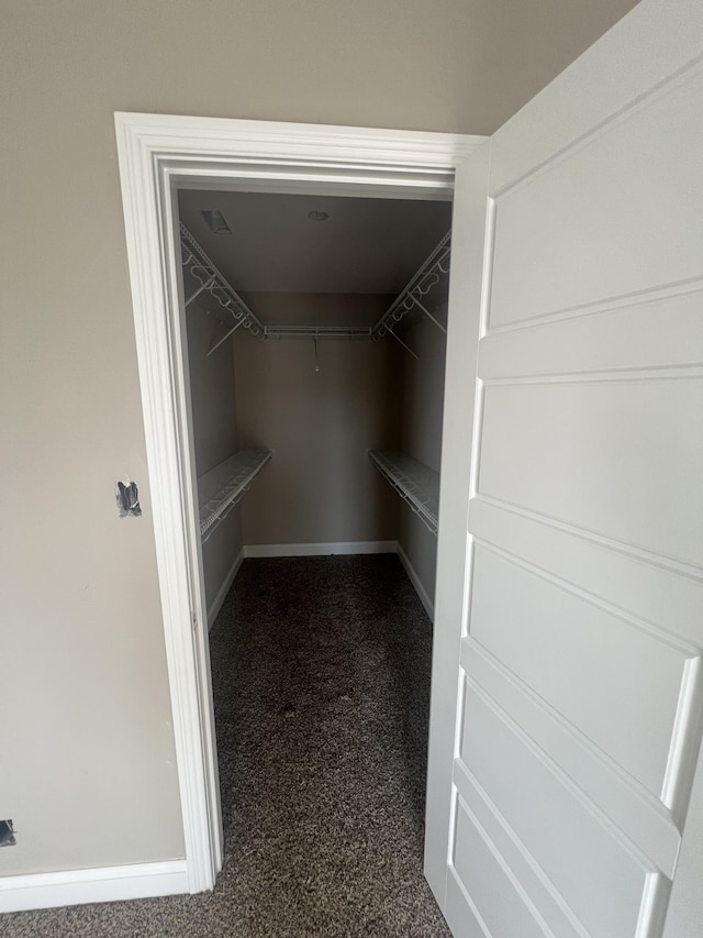 walk in closet featuring carpet floors