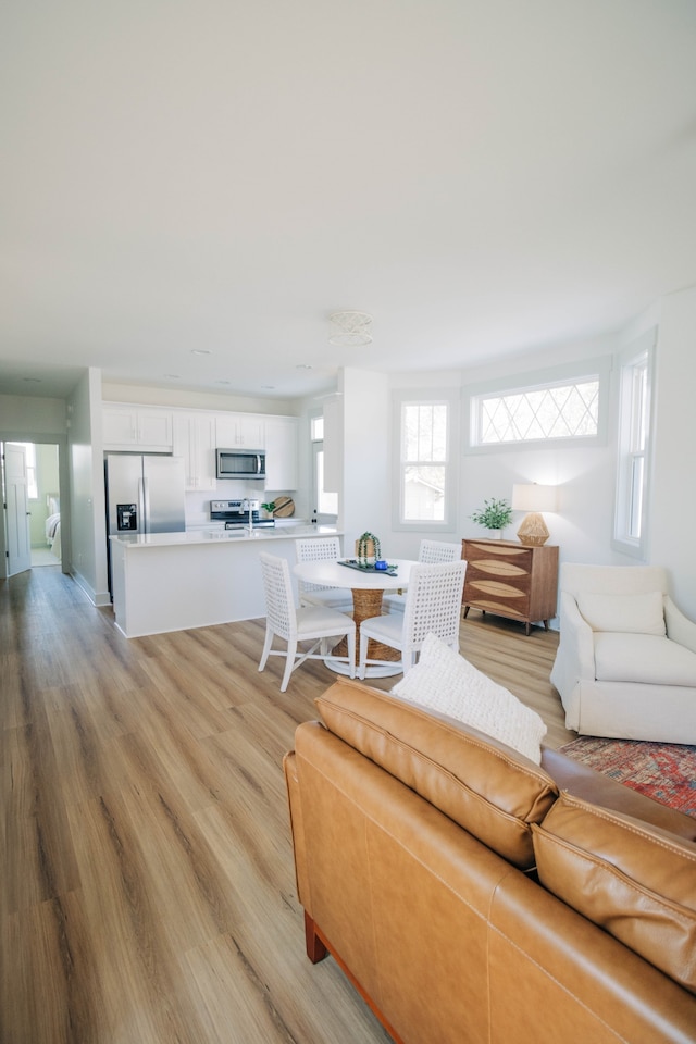 living room featuring light hardwood / wood-style flooring