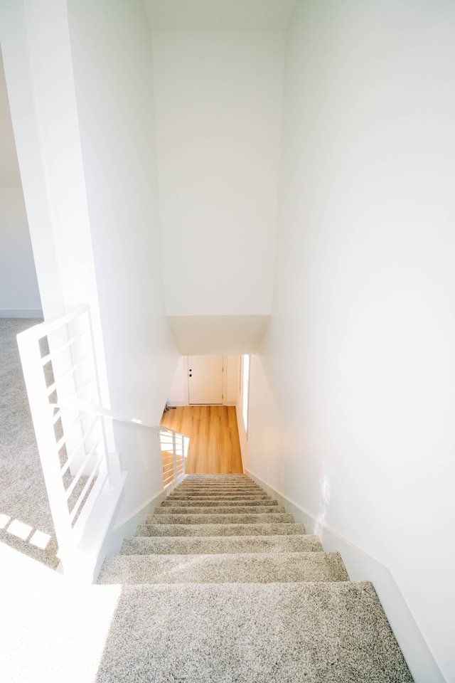 stairs featuring carpet floors