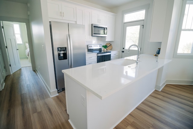 kitchen with white cabinetry, stainless steel appliances, and sink