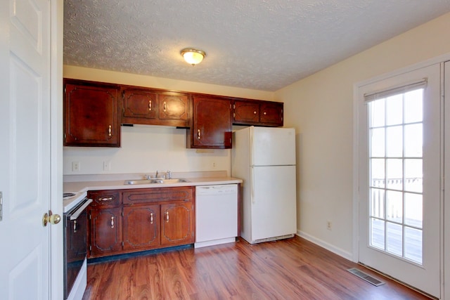 kitchen with sink, light hardwood / wood-style floors, a textured ceiling, and white appliances