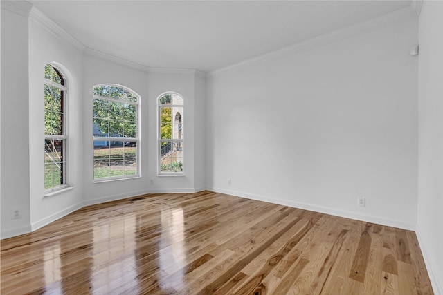 spare room with crown molding and light wood-type flooring