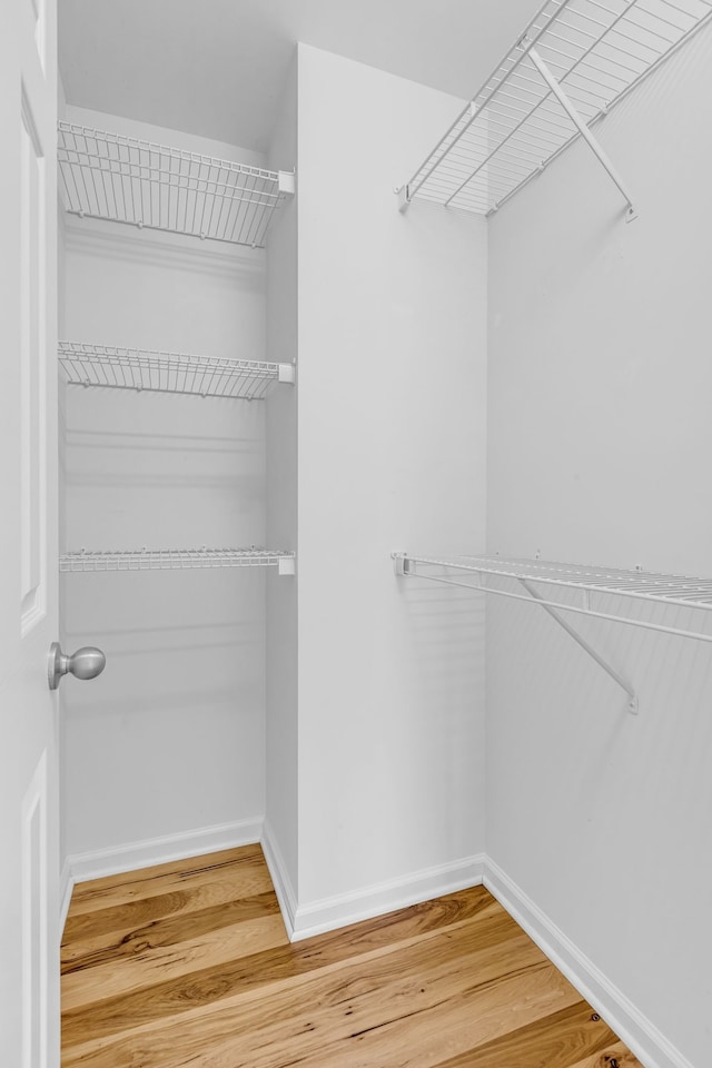 walk in closet with hardwood / wood-style flooring